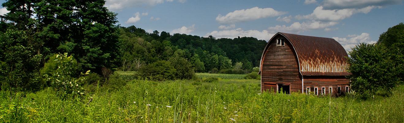 A rustic red barn with a rounded rusty roof stands in a green field surrounded by trees under a partly cloudy sky, warm nostalgic mood.